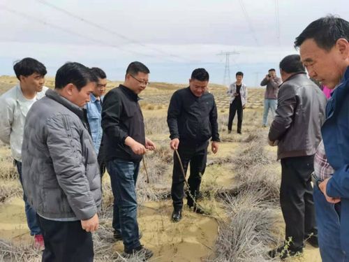 省林草局強化重點生態工程專項督查，保障建筑工程與生態保護協調發展